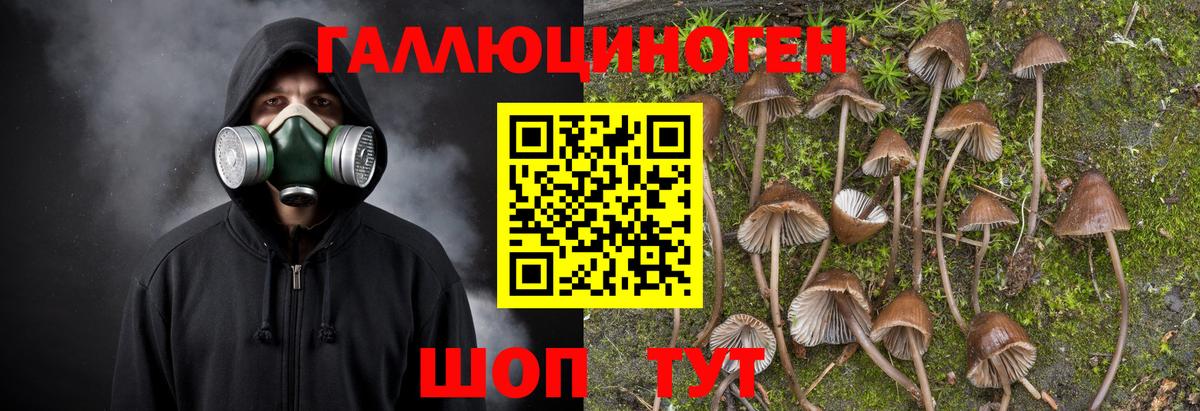  КОКАИН Ейск