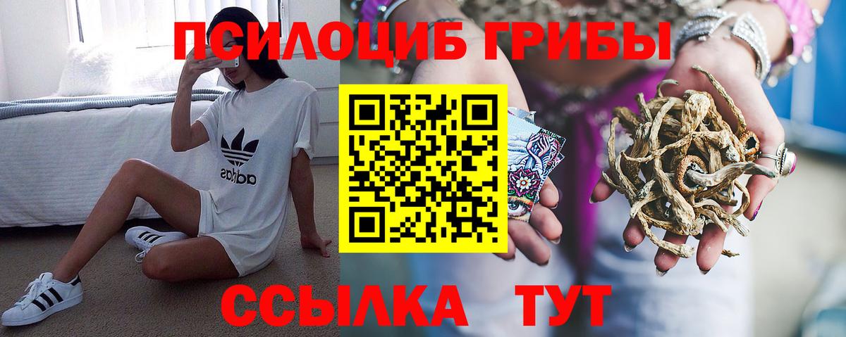 Псилоцибиновые грибы MAGIC MUSHROOMS  Галлюциногенные грибы Psilocybine cubensis  Ейск  Вход с VPN 